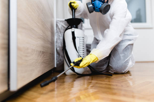 Insect Control in Pooler, GA
