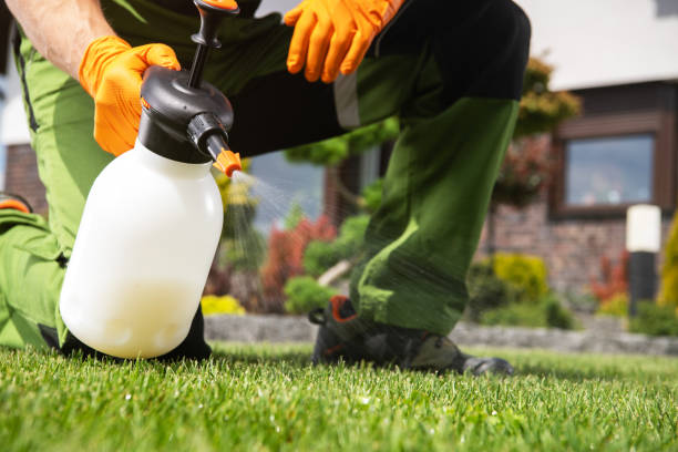 Best Affordable Pest Control Services  in Pooler, GA