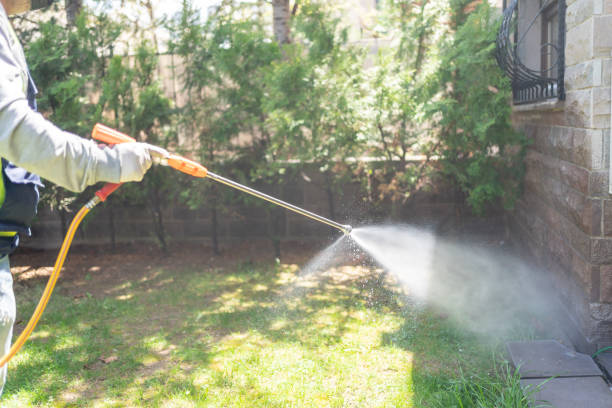 Best Spider Control Near Me  in Pooler, GA