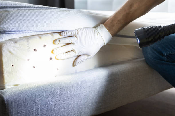 Best Wasp Removal Services  in Pooler, GA