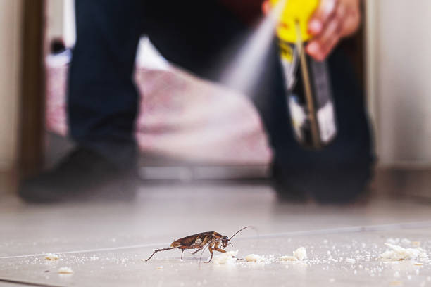 Best Bed Bug Extermination  in Pooler, GA