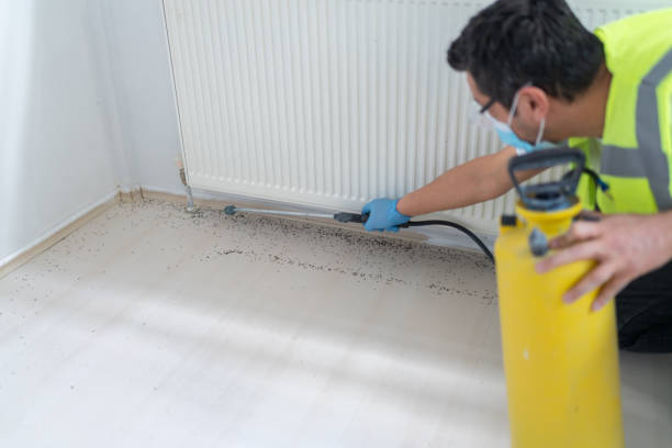 Reliable Pooler, GA Pest Control Solutions