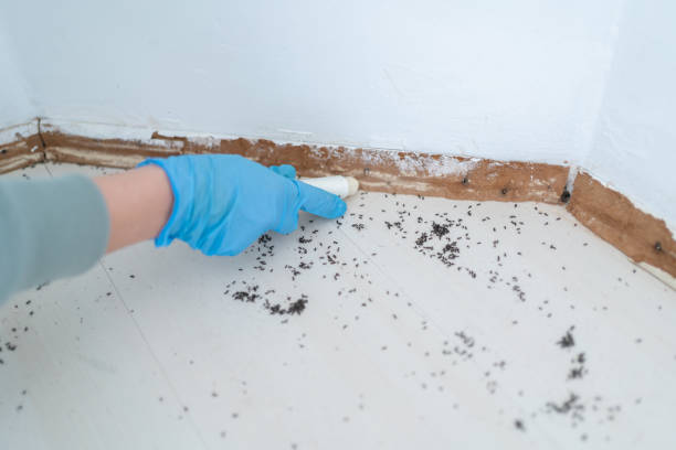 Best Pest Prevention Services  in Pooler, GA
